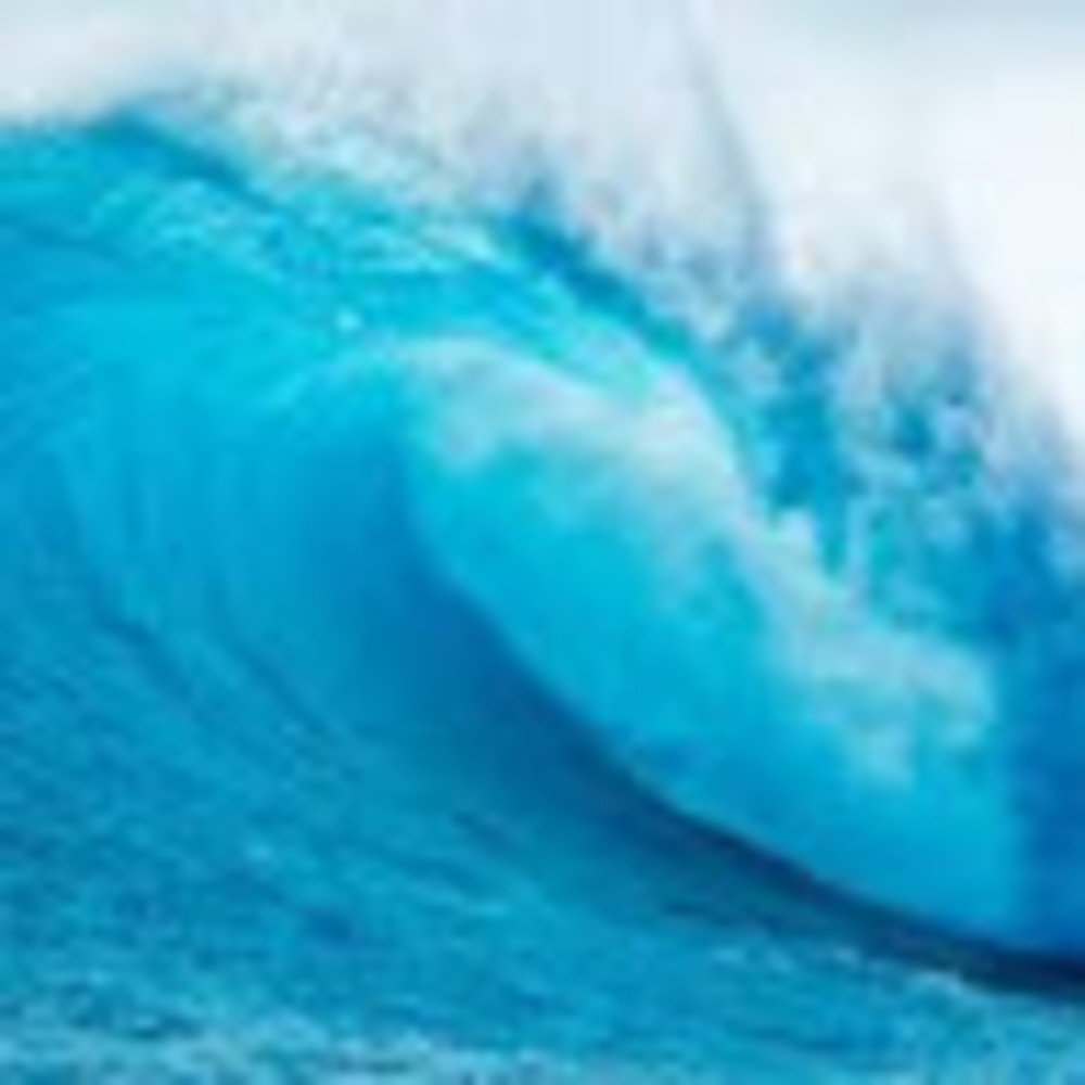 Meet your Posher, Ocean